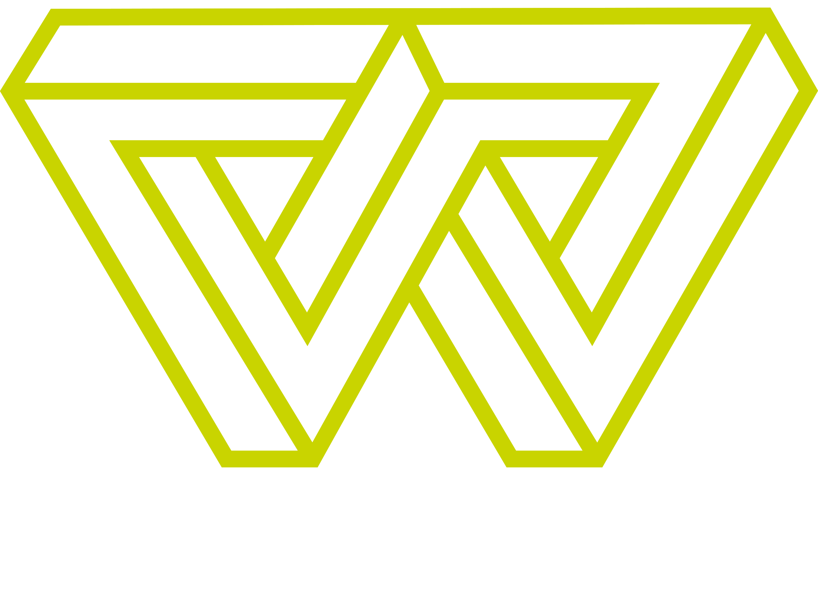 WiseWiser™